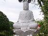 buddha-107.jpg