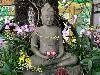 buddha-171.jpg
