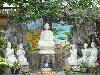 buddha_vn2009-136.jpg